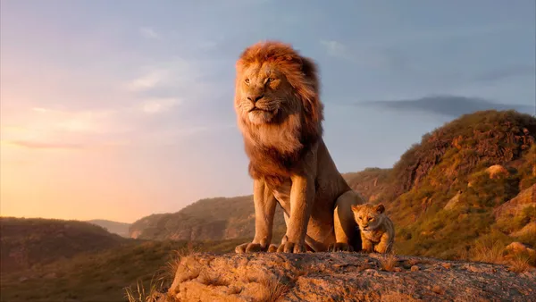todos los detalles de la película El rey león
